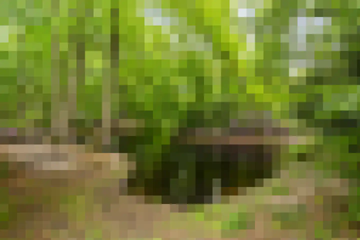 Crosestein 2028 Zeist thumbnail 36