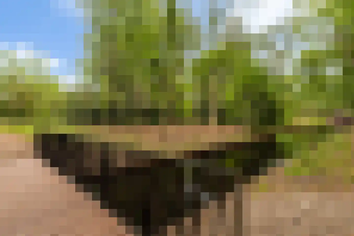Crosestein 2028 Zeist thumbnail 37