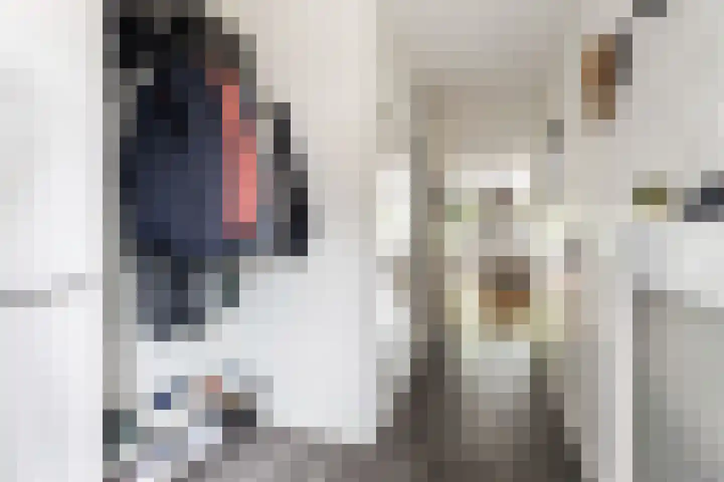 Crosestein 2028 Zeist thumbnail 5