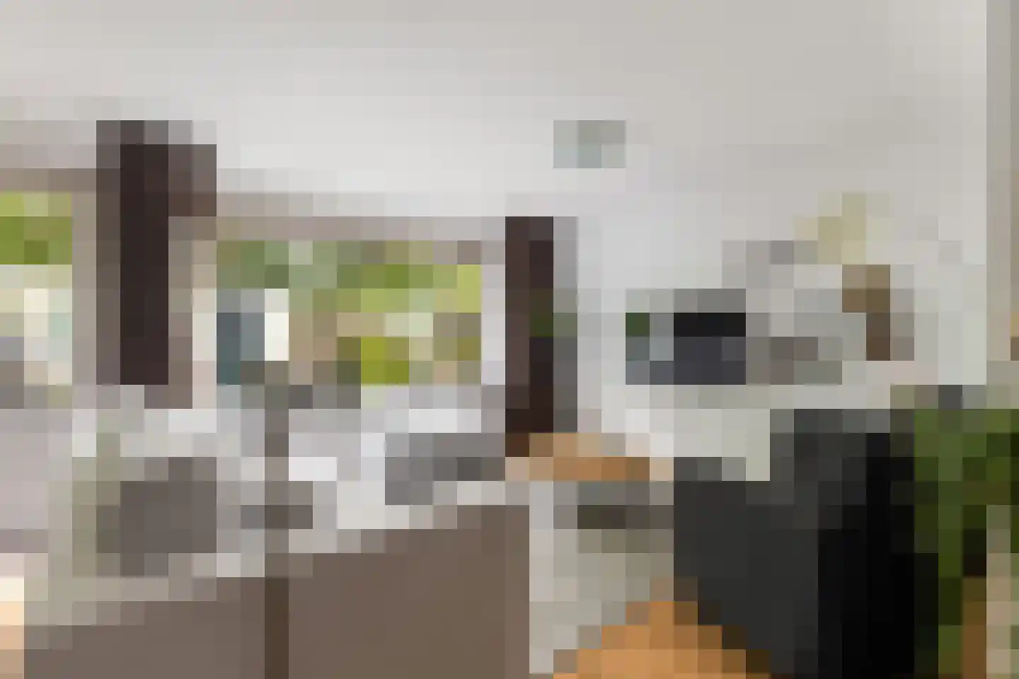 Crosestein 2028 Zeist thumbnail 7