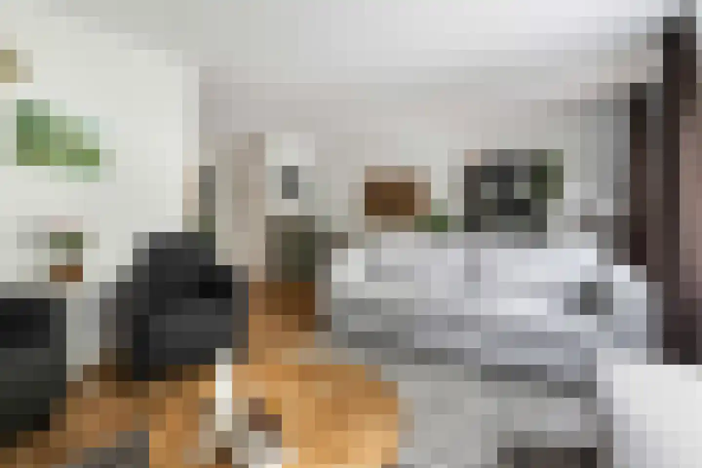 Crosestein 2028 Zeist thumbnail 9