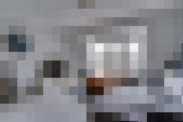 Crosestein 2030 Zeist thumbnail 11