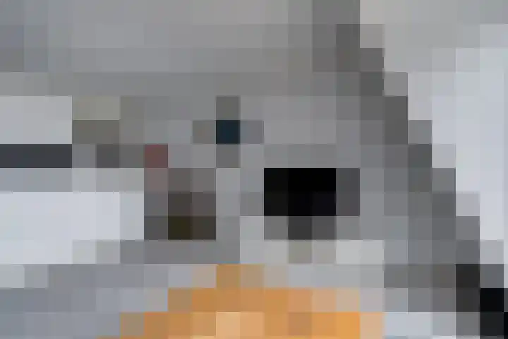 Crosestein 2030 Zeist thumbnail 14
