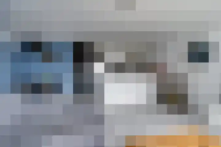 Crosestein 2030 Zeist thumbnail 15