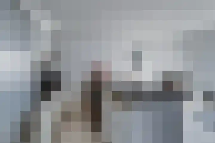 Crosestein 2030 Zeist thumbnail 18