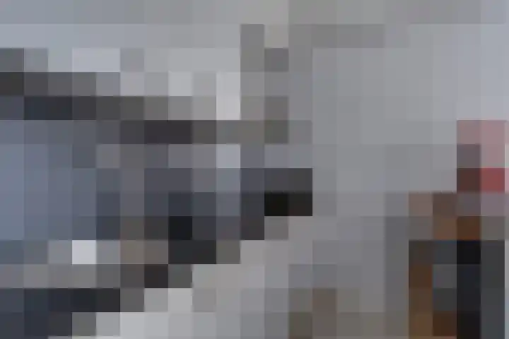 Crosestein 2030 Zeist thumbnail 19