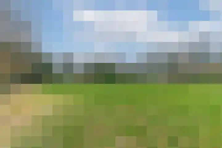 Crosestein 2030 Zeist thumbnail 29