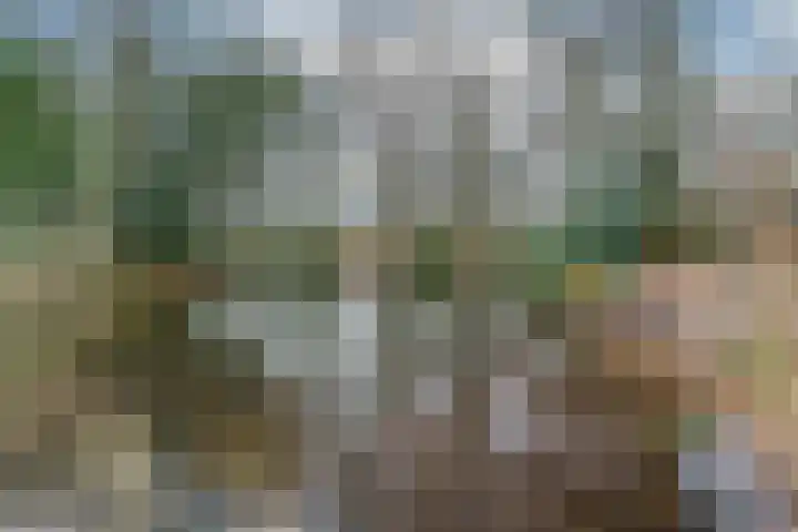 Crosestein 2030 Zeist thumbnail 30