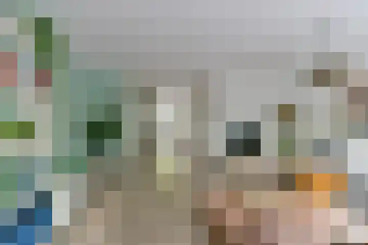 Crosestein 2032 Zeist thumbnail 11