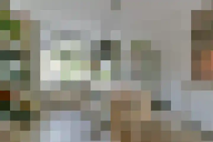 Crosestein 2032 Zeist thumbnail 13