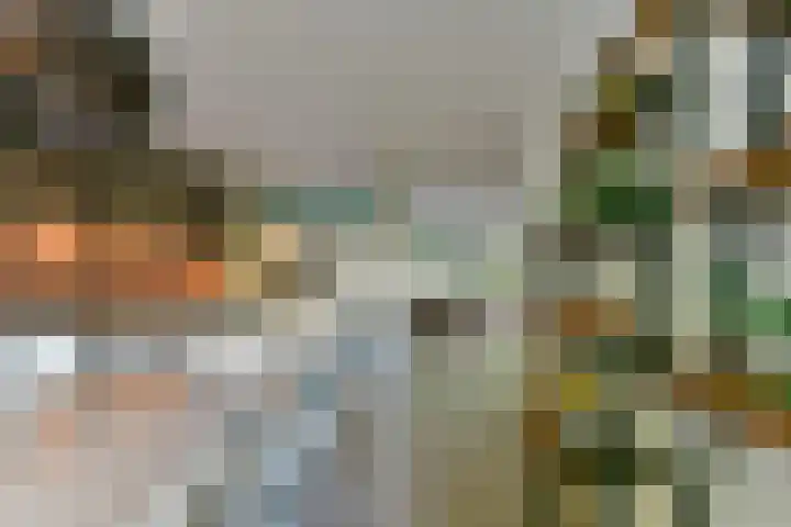 Crosestein 2032 Zeist thumbnail 14