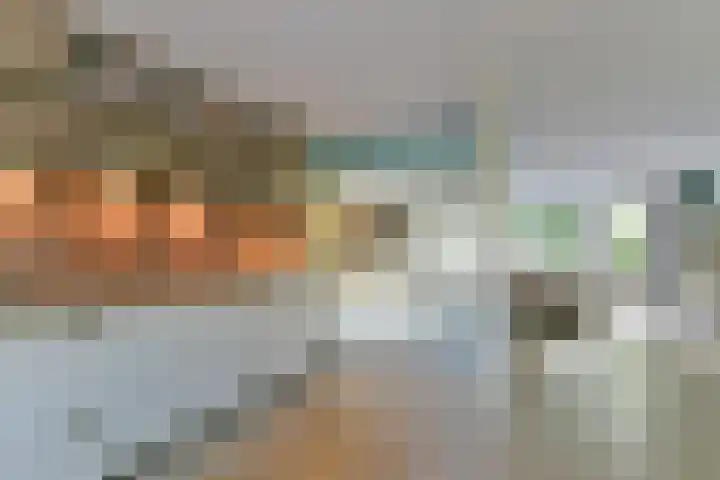 Crosestein 2032 Zeist thumbnail 15