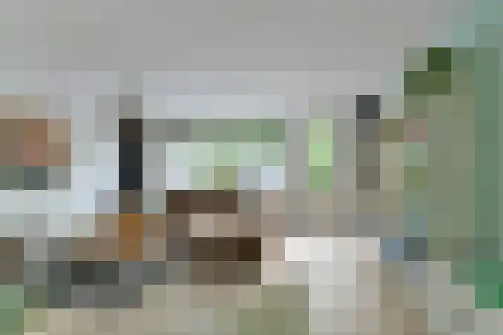 Crosestein 2032 Zeist thumbnail 19