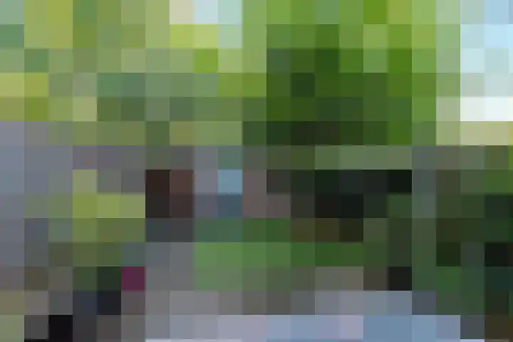 Crosestein 2032 Zeist thumbnail 21