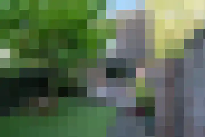 Crosestein 2032 Zeist thumbnail 23