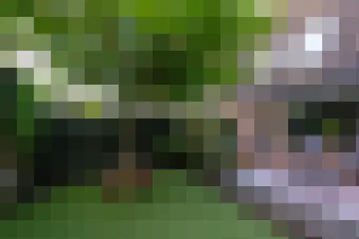 Crosestein 2032 Zeist thumbnail 24