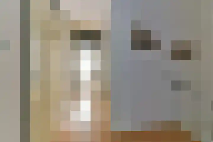 Crosestein 2032 Zeist thumbnail 33