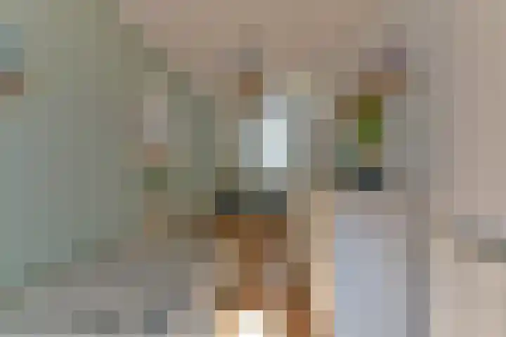 Crosestein 2032 Zeist thumbnail 36