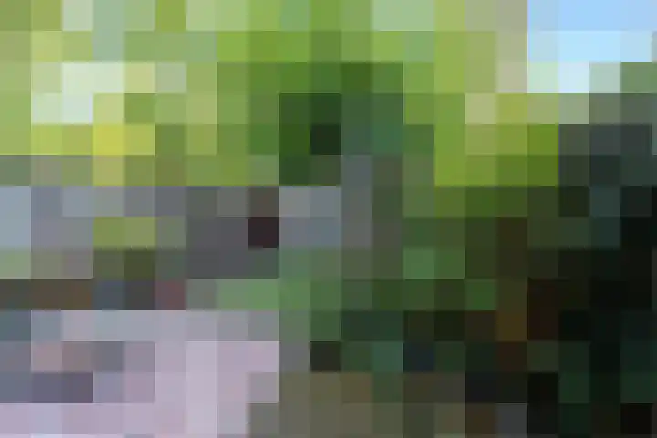 Crosestein 2032 Zeist thumbnail 4