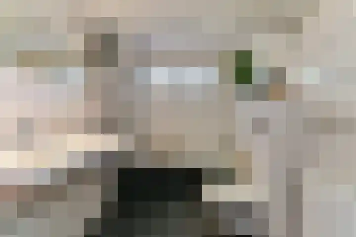 Crosestein 2032 Zeist thumbnail 41