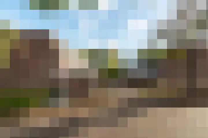 Crosestein 2032 Zeist thumbnail 43