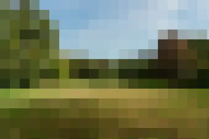 Crosestein 2032 Zeist thumbnail 46
