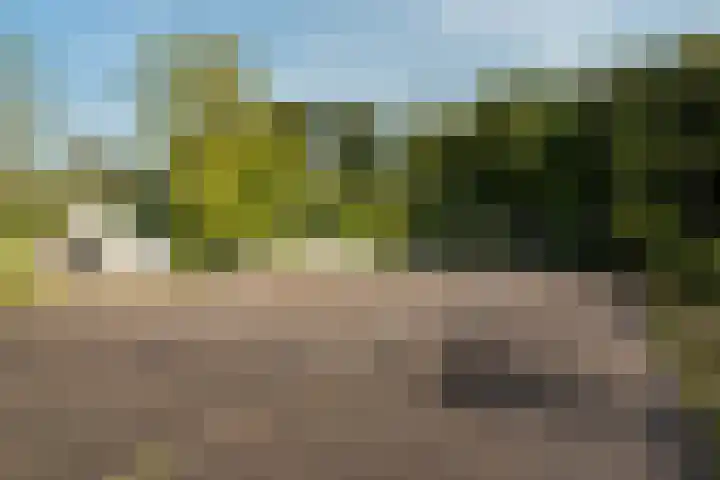 Crosestein 2032 Zeist thumbnail 47