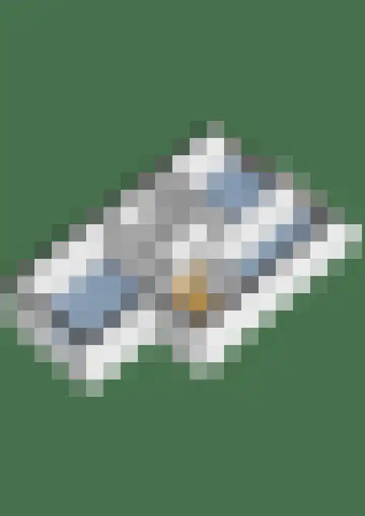 Crosestein 2032 Zeist thumbnail 53