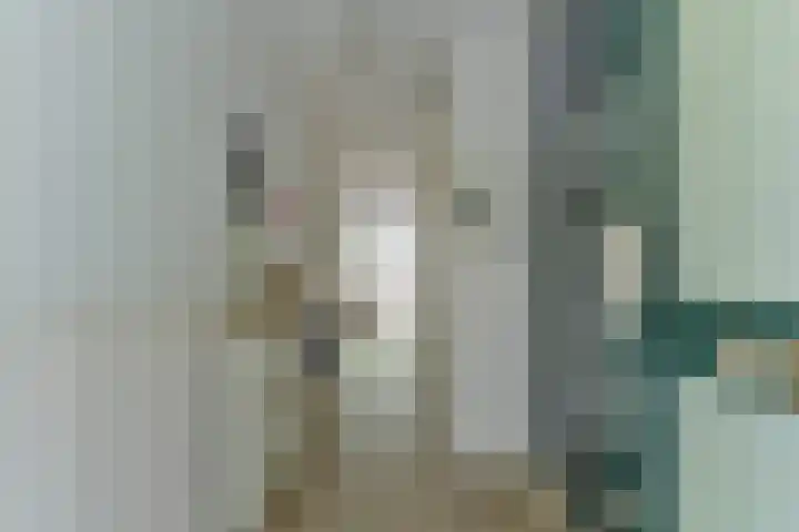 Crosestein 2032 Zeist thumbnail 6
