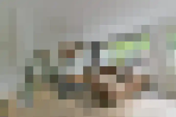 Crosestein 2032 Zeist thumbnail 8