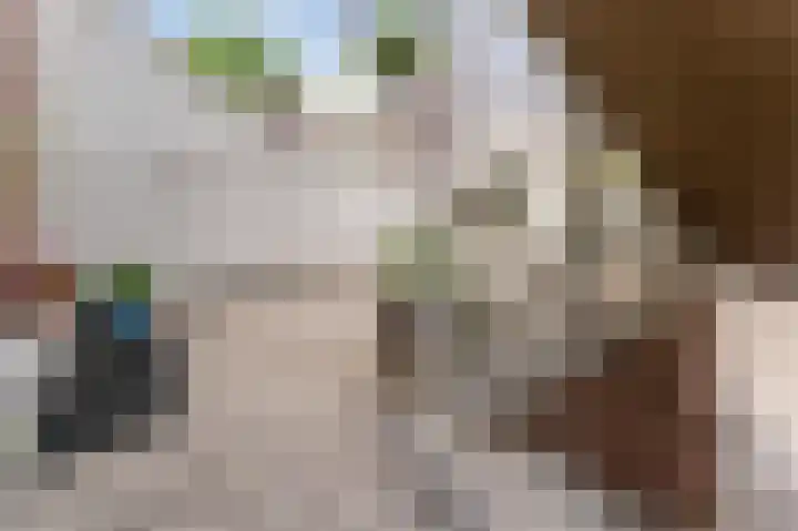 Crosestein 2035 Zeist thumbnail 10