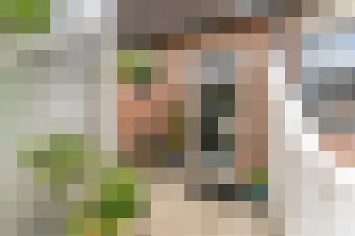 Crosestein 2035 Zeist thumbnail 11