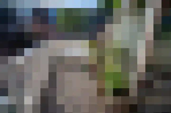 Crosestein 2035 Zeist thumbnail 14