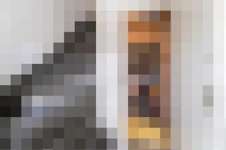 Crosestein 2035 Zeist thumbnail 15