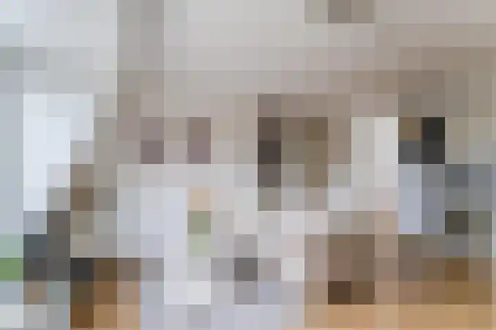 Crosestein 2035 Zeist thumbnail 19