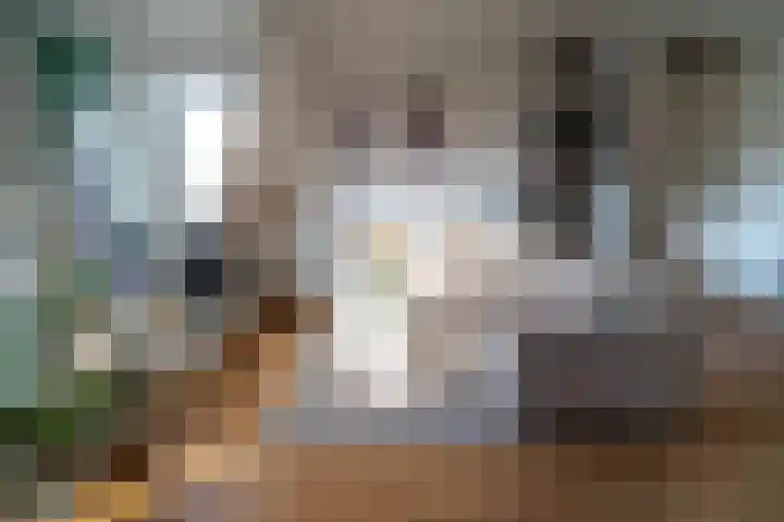 Crosestein 2035 Zeist thumbnail 20