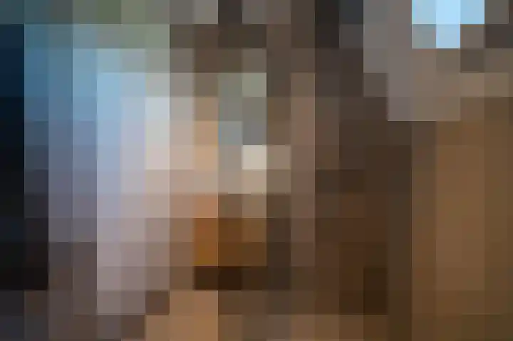 Crosestein 2035 Zeist thumbnail 28
