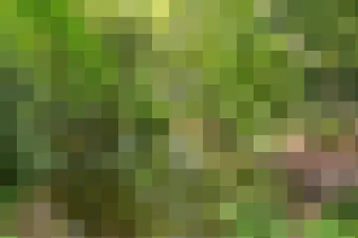 Crosestein 2035 Zeist thumbnail 33