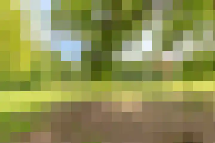 Crosestein 2035 Zeist thumbnail 34