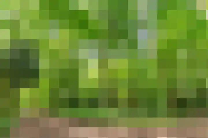 Crosestein 2035 Zeist thumbnail 35