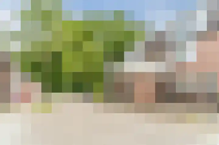 Crosestein 2035 Zeist thumbnail 8