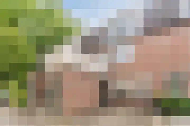 Crosestein 2035 Zeist thumbnail 9