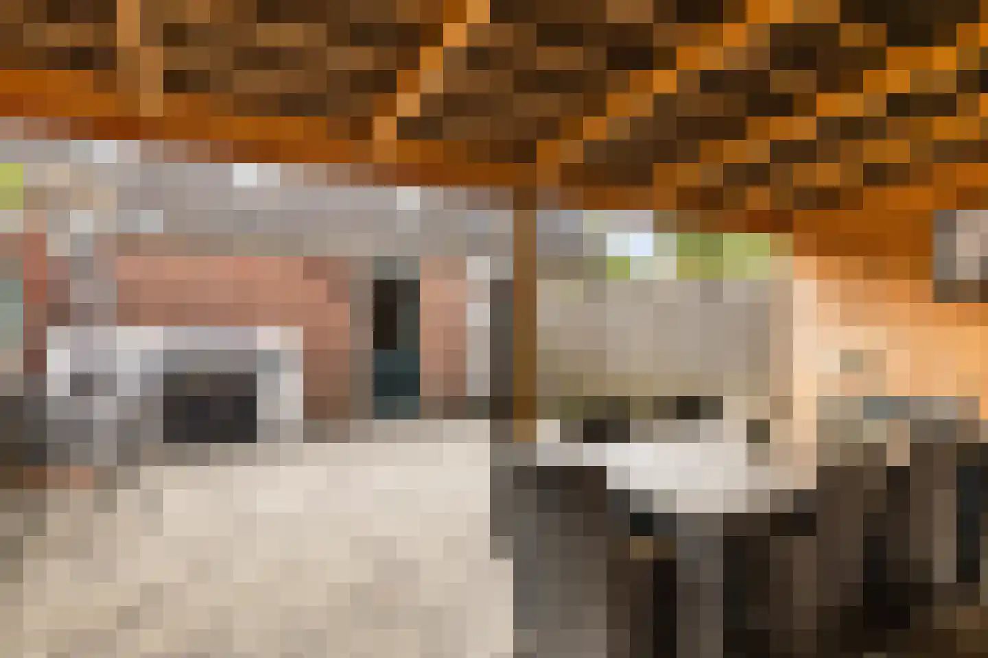 Crosestein 2041 Zeist thumbnail 18
