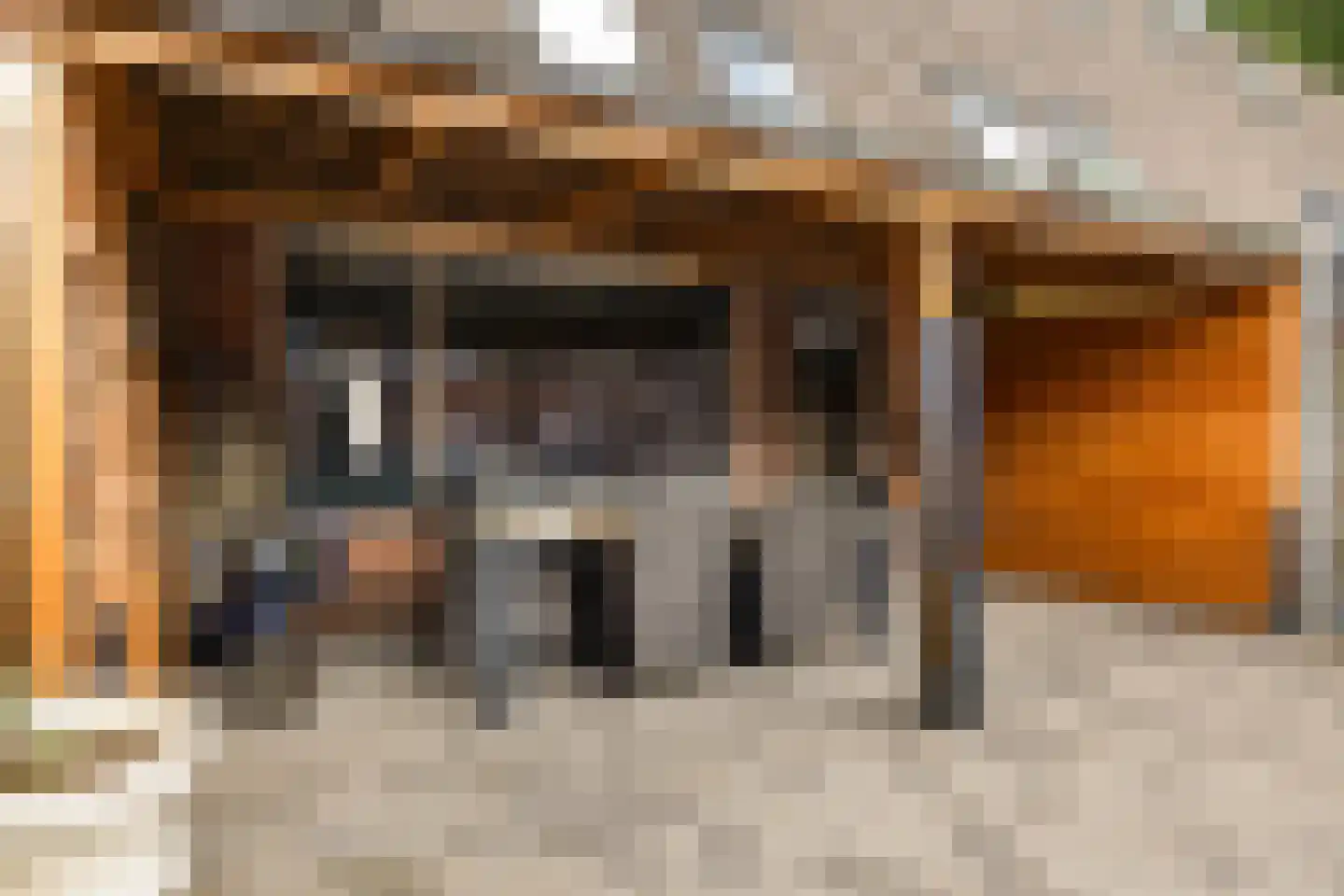 Crosestein 2041 Zeist thumbnail 20
