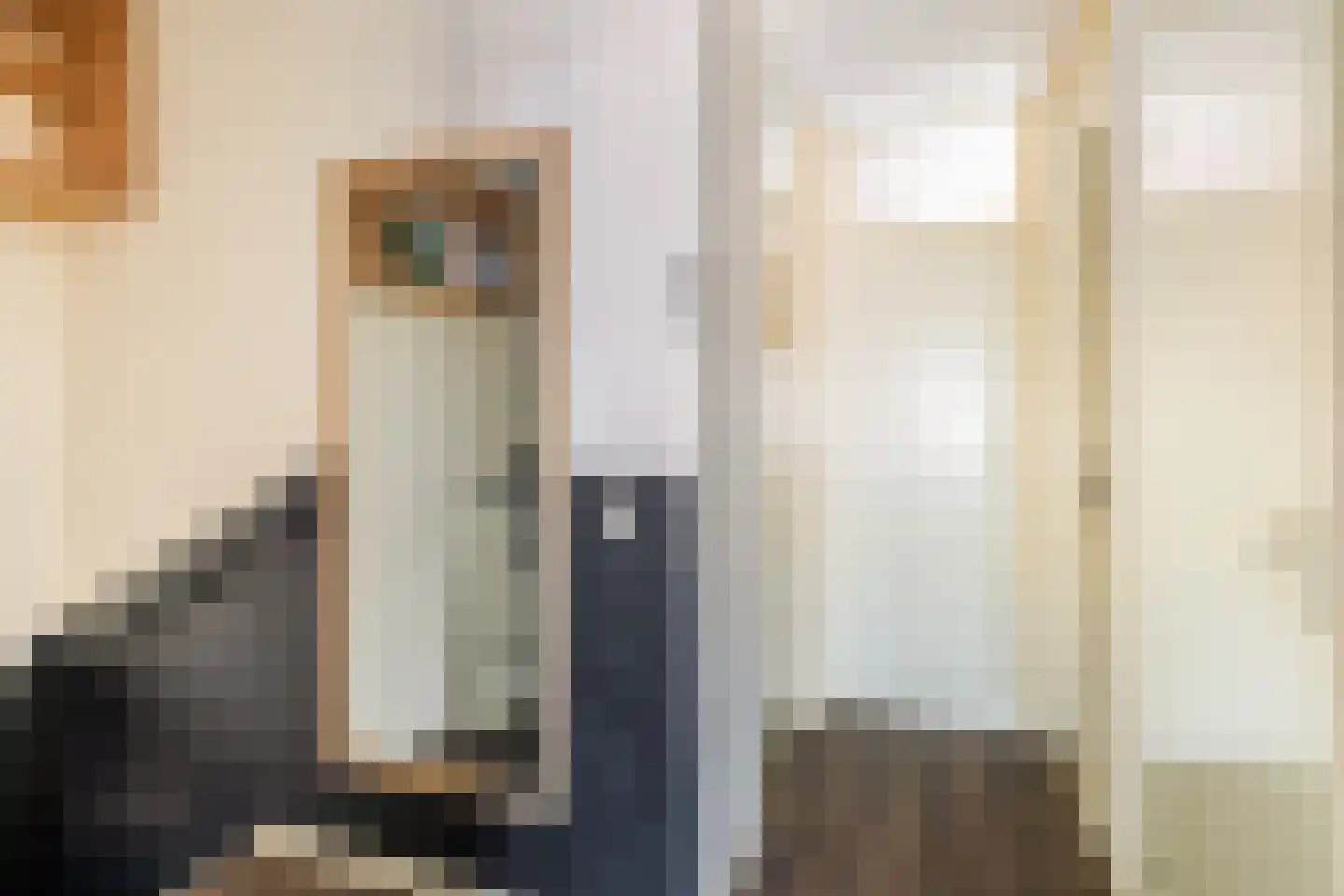 Crosestein 2041 Zeist thumbnail 23