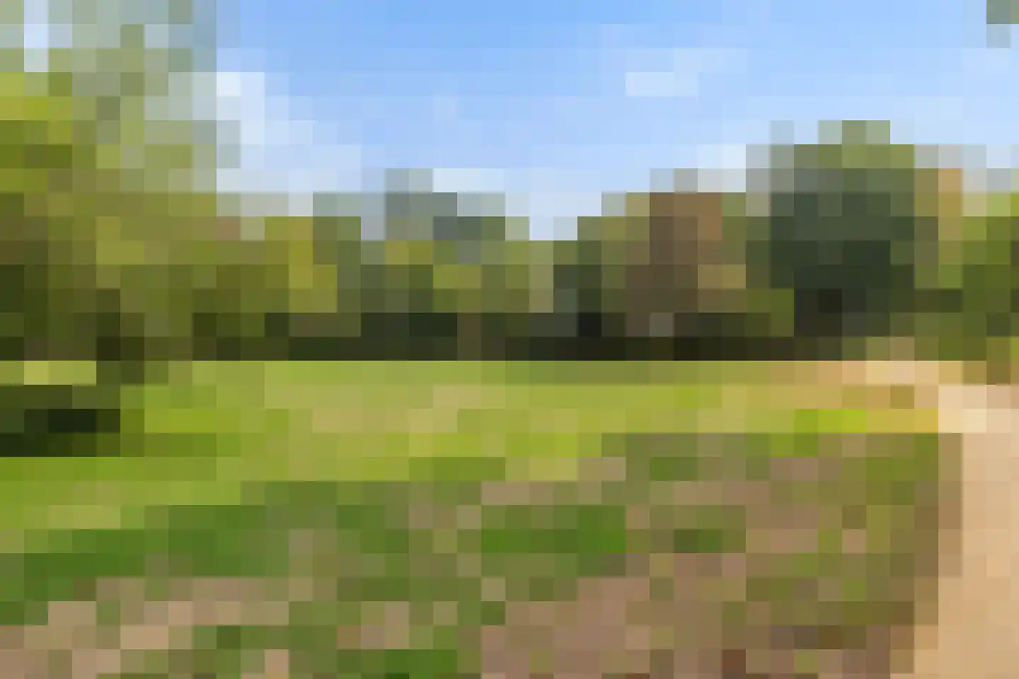 Crosestein 2041 Zeist thumbnail 33