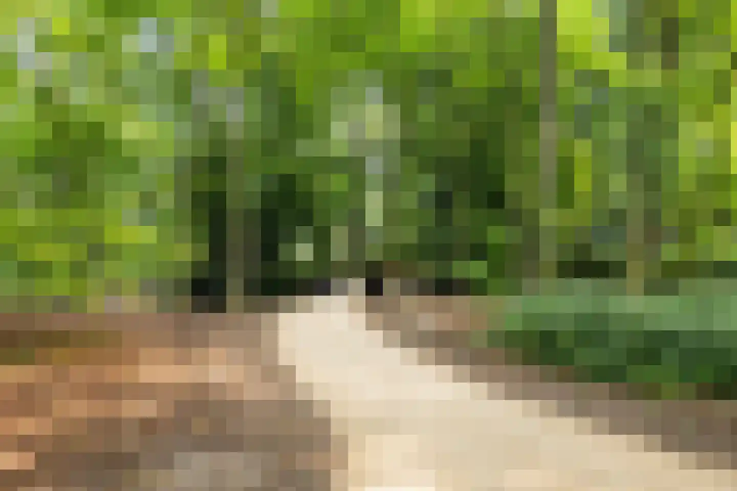 Crosestein 2041 Zeist thumbnail 34