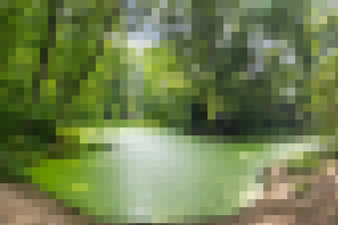 Crosestein 2041 Zeist thumbnail 35