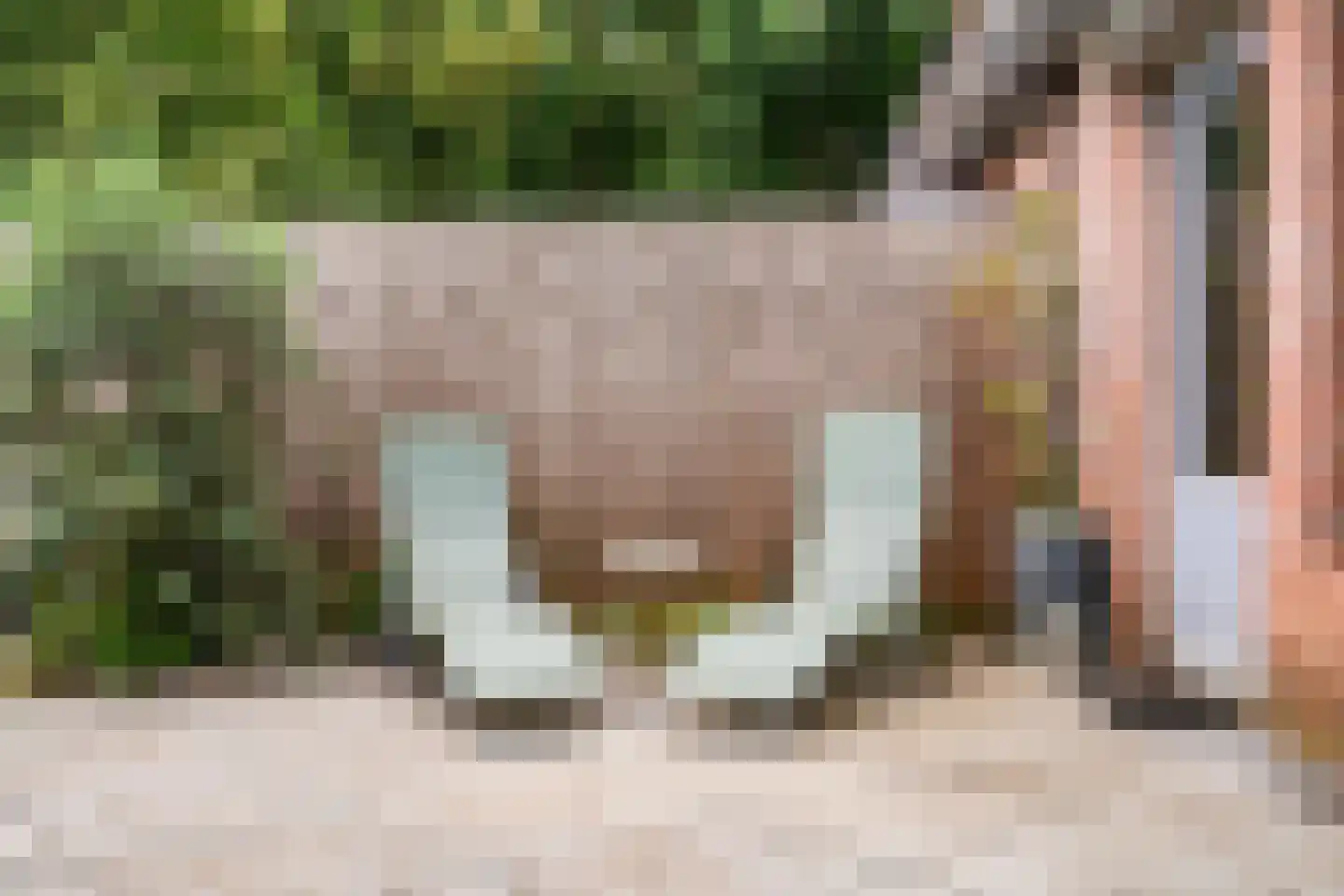 Crosestein 2048 Zeist thumbnail 21