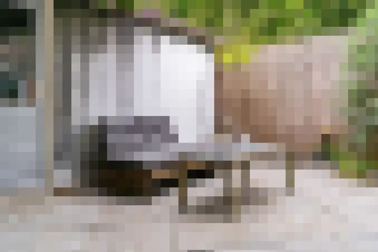 Crosestein 2048 Zeist thumbnail 23